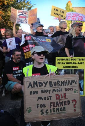September 26, 2026, Huntingdon, United Kingdom: Animal activists protest outside the main gates of MBR Acres with signs and banners during the protest. Save The Dogs UK march to end animal testing culminating in a rally at MBR Acres in Huntingdon. The facility produces beagle puppies for the vivisection industry. The march to MBR Acres was held at the same time as a two-week march by animal activists in the USA arrived at Marshall BioResources in New York. Both sets of activists claim ™Two Countries, Two Marches. One Shared Message™ The protesters insist both Marshall BioResourses and MBR Acres are closed and demand a future beyond animal testing. Huntingdon United Kingdom - ZUMAs197 20260926_aaa_s197_450 Copyright: xMartinxPopex