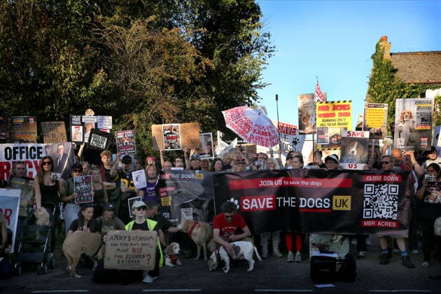 September 26, 2026, Huntingdon, United Kingdom: Animal activists protest outside the main gates of MBR Acres with signs and banners during the protest. Save The Dogs UK march to end animal testing culminating in a rally at MBR Acres in Huntingdon. The facility produces beagle puppies for the vivisection industry. The march to MBR Acres was held at the same time as a two-week march by animal activists in the USA arrived at Marshall BioResources in New York. Both sets of activists claim ™Two Countries, Two Marches. One Shared Message™ The protesters insist both Marshall BioResourses and MBR Acres are closed and demand a future beyond animal testing. Huntingdon United Kingdom - ZUMAs197 20260926_aaa_s197_444 Copyright: xMartinxPopex
