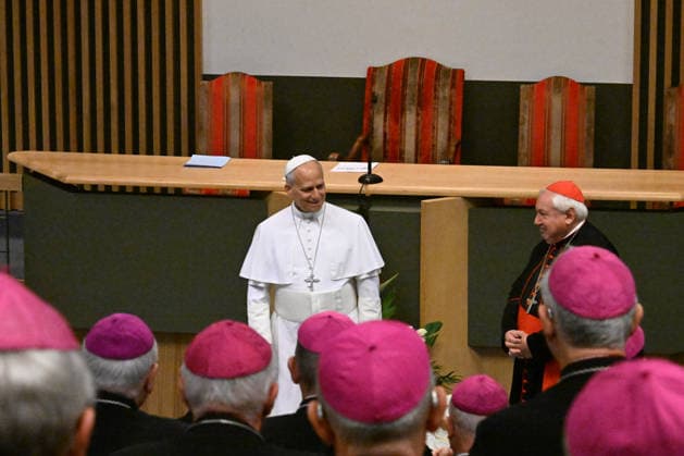 POPE LEO XIV MEETS BISHOPS OF FRANCE IN LOURDES France, Lourdes, Vatican, 2026 9 27 Pope Leo XIV meets with the Bishops of the French Bishops Conference at the Sainte-Bernadette hemicycle of the Sanctuary of Our Lady of Lourdes. EDITORIAL USE ONLY - NO BOOKS Copyright: xALESSIAxGIULIANI xCatholicxPressxPhotox