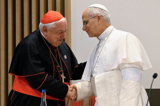 POPE LEO XIV MEETS BISHOPS OF FRANCE IN LOURDES France, Lourdes, Vatican, 2026 9 27 Pope Leo XIV meets with the Bishops of the French Bishops Conference at the Sainte-Bernadette hemicycle of the Sanctuary of Our Lady of Lourdes. EDITORIAL USE ONLY - NO BOOKS Copyright: xVATICANxMEDIA xCatholicxPressxPhotox