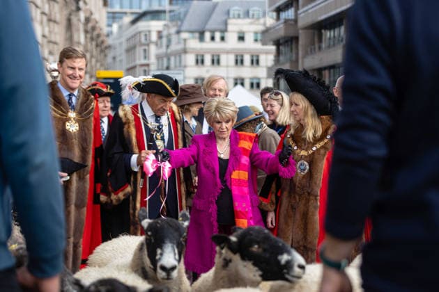 Woolmens Sheep Drive and Livery Fair 2026 on Southwark Bridge, London, UK 27 September 2026 Gloria Hunniford OBE leads the Woolmens Sheep Drive across Southwark Bridge, London, UK, on 27 September 2026. The broadcaster, who became a Freeman of the City of London earlier this year, led the annual drive to mark 80 years in entertainment, joined by Master Woolman David Hopkins, Lady Mayor Dame Susan Langley and Sheriffs of the City of London in aid of the Woolmen s Charity and the Lord Mayor s Appeal., Credit:PETE SPELLER Avalon  Copyright: xPETExSPELLERx xAvalonx 1138620828
