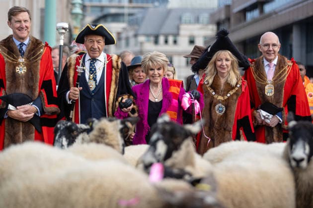 Woolmens Sheep Drive and Livery Fair 2026 on Southwark Bridge, London, UK 27 September 2026 Gloria Hunniford OBE leads the Woolmens Sheep Drive across Southwark Bridge, London, UK, on 27 September 2026. The broadcaster, who became a Freeman of the City of London earlier this year, led the annual drive to mark 80 years in entertainment, joined by Master Woolman David Hopkins, Lady Mayor Dame Susan Langley and Sheriffs of the City of London in aid of the Woolmen s Charity and the Lord Mayor s Appeal., Credit:PETE SPELLER Avalon  Copyright: xPETExSPELLERx xAvalonx 1138620835