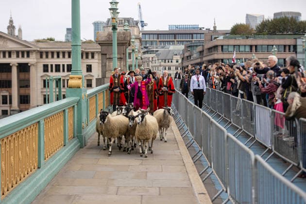 Woolmens Sheep Drive and Livery Fair 2026 on Southwark Bridge, London, UK 27 September 2026 Gloria Hunniford OBE leads the Woolmens Sheep Drive across Southwark Bridge, London, UK, on 27 September 2026. The broadcaster, who became a Freeman of the City of London earlier this year, led the annual drive to mark 80 years in entertainment, joined by Master Woolman David Hopkins, Lady Mayor Dame Susan Langley and Sheriffs of the City of London in aid of the Woolmen s Charity and the Lord Mayor s Appeal., Credit:PETE SPELLER Avalon  Copyright: xPETExSPELLERx xAvalonx 1138620842