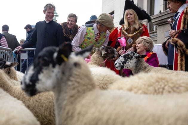 Woolmens Sheep Drive and Livery Fair 2026 on Southwark Bridge, London, UK 27 September 2026 Gloria Hunniford OBE leads the Woolmens Sheep Drive across Southwark Bridge, London, UK, on 27 September 2026. The broadcaster, who became a Freeman of the City of London earlier this year, led the annual drive to mark 80 years in entertainment, joined by Master Woolman David Hopkins, Lady Mayor Dame Susan Langley and Sheriffs of the City of London in aid of the Woolmen s Charity and the Lord Mayor s Appeal., Credit:PETE SPELLER Avalon  Copyright: xPETExSPELLERx xAvalonx 1138620879