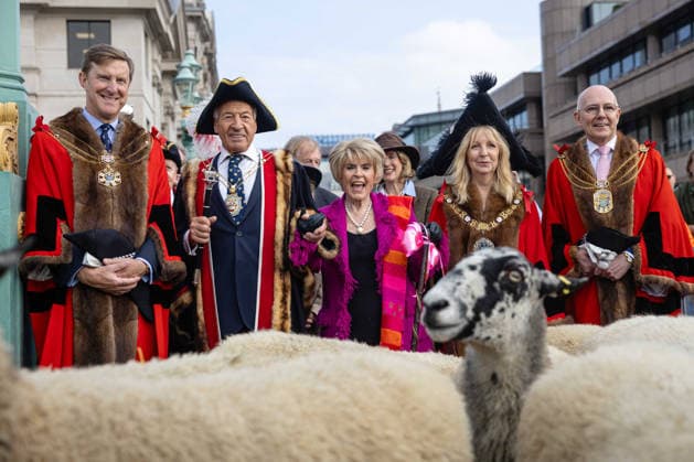 Woolmens Sheep Drive and Livery Fair 2026 on Southwark Bridge, London, UK 27 September 2026 Gloria Hunniford OBE leads the Woolmens Sheep Drive across Southwark Bridge, London, UK, on 27 September 2026. The broadcaster, who became a Freeman of the City of London earlier this year, led the annual drive to mark 80 years in entertainment, joined by Master Woolman David Hopkins, Lady Mayor Dame Susan Langley and Sheriffs of the City of London in aid of the Woolmen s Charity and the Lord Mayor s Appeal., Credit:PETE SPELLER Avalon  Copyright: xPETExSPELLERx xAvalonx 1138620888