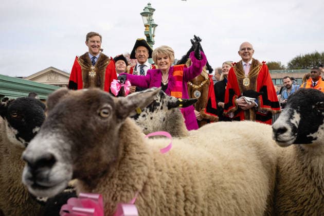 Woolmens Sheep Drive and Livery Fair 2026 on Southwark Bridge, London, UK 27 September 2026 Gloria Hunniford OBE leads the Woolmens Sheep Drive across Southwark Bridge, London, UK, on 27 September 2026. The broadcaster, who became a Freeman of the City of London earlier this year, led the annual drive to mark 80 years in entertainment, joined by Master Woolman David Hopkins, Lady Mayor Dame Susan Langley and Sheriffs of the City of London in aid of the Woolmen s Charity and the Lord Mayor s Appeal., Credit:PETE SPELLER Avalon  Copyright: xPETExSPELLERx xAvalonx 1138620919