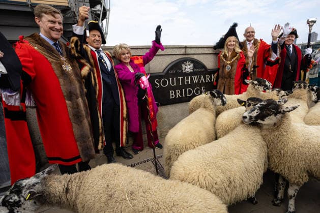 Woolmens Sheep Drive and Livery Fair 2026 on Southwark Bridge, London, UK 27 September 2026 Gloria Hunniford OBE leads the Woolmens Sheep Drive across Southwark Bridge, London, UK, on 27 September 2026. The broadcaster, who became a Freeman of the City of London earlier this year, led the annual drive to mark 80 years in entertainment, joined by Master Woolman David Hopkins, Lady Mayor Dame Susan Langley and Sheriffs of the City of London in aid of the Woolmen s Charity and the Lord Mayor s Appeal., Credit:PETE SPELLER Avalon  Copyright: xPETExSPELLERx xAvalonx 1138620961