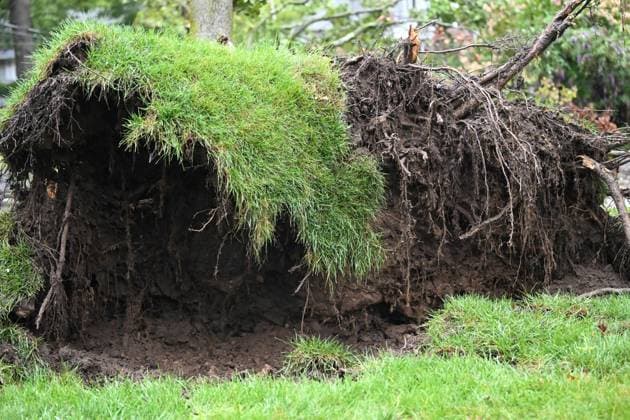 September 27, 2026, Ridgewood, New Jersey, USA: A tree is seen uprooted with wires down outside of a home on Gilbert Street during a nor easter storm in Ridgewood, New Jersey, United States, on Sunday, September 27, 2026. Heavy rain and strong winds battered the northeastern United States as an unusually powerful autumn storm intensified, forcing the cancellation of hundreds of flights and leaving tens of thousands of people without power. New York, Boston and Philadelphia were among the areas affected by the storm, as authorities warned of potential major flooding and road closures. Ridgewood USA - ZUMAs197 20260927_aaa_s197_003 Copyright: xKylexMazzax