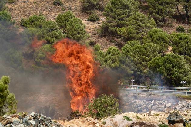 Wildfire in Igualeja, Málaga Images of the wildfire in Igualeja, Málaga September 27, 2026 Á Igualeja, Málaga Igualeja, Málaga, Spain  Copyright: xÃlexxZeax 7804311