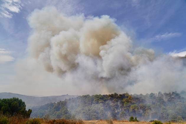 Wildfire in Igualeja, Málaga Images of the wildfire in Igualeja, Málaga September 27, 2026 Á Igualeja, Málaga Igualeja, Málaga, Spain  Copyright: xÃlexxZeax 7804314