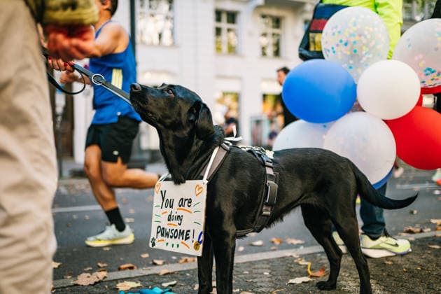 Highlights from the 52nd BMW BERLIN MARATHON on September 27, 2026, in Berlin: Runners on the marathon course and spectators lining the route of the 2026 BMW Berlin Marathon