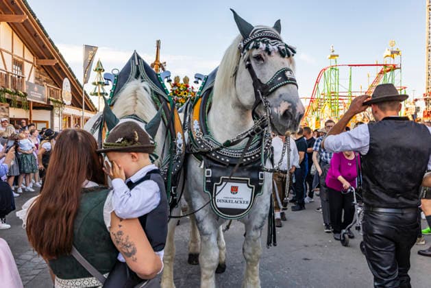 Festivities at the Cannstatter Waden. According to the organizers, the Cannstatter Volksfest is one of the most beautiful and largest folk festivals in the world. Around three million guests are expected again through October 11. September 27, 2026, Stuttgart, Baden-Württemberg, Germany