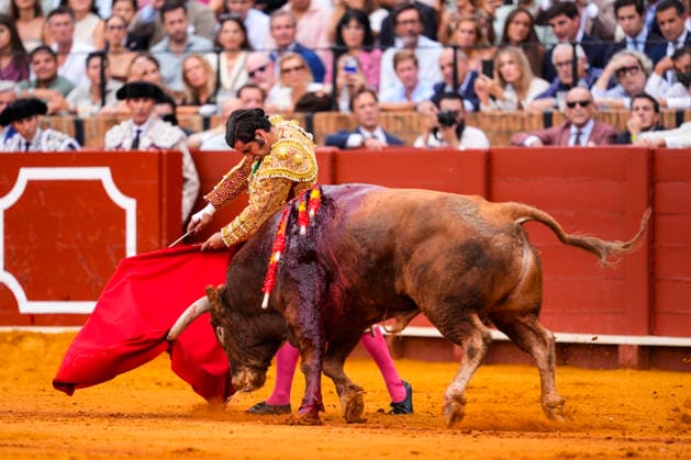 Fourth Regular Bullfight of the San Miguel Fair in Seville: Morante de la Puebla during the fourth regular bullfight of the San Miguel Fair at the Real Maestranza de Caballería On September 27, 2026, in Seville, Andalusia, Spain, Morante de la Puebla, Daniel Luque, and Borja Jiménez fought bulls from the Garcigrande ranch during the fourth subscription bullfight of the San Miguel Fair, September 27, 2026, in Seville, Andalusia, Spain  Copyright: xJoaquinxCorcherox 7804621