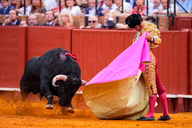 Fourth Regular Bullfight of the San Miguel Fair in Seville: Morante de la Puebla during the fourth regular bullfight of the San Miguel Fair at the Real Maestranza de Caballería On September 27, 2026, in Seville, Andalusia, Spain, Morante de la Puebla, Daniel Luque, and Borja Jiménez fought bulls from the Garcigrande ranch during the fourth subscription bullfight of the San Miguel Fair, September 27, 2026, in Seville, Andalusia, Spain  Copyright: xJoaquinxCorcherox 7804630