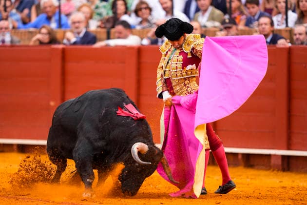 Fourth Regular Bullfight of the San Miguel Fair in Seville: Morante de la Puebla during the fourth regular bullfight of the San Miguel Fair at the Real Maestranza de Caballería On September 27, 2026, in Seville, Andalusia, Spain, Morante de la Puebla, Daniel Luque, and Borja Jiménez fought bulls from the Garcigrande ranch during the fourth subscription bullfight of the San Miguel Fair, September 27, 2026, in Seville, Andalusia, Spain  Copyright: xJoaquinxCorcherox 7804633