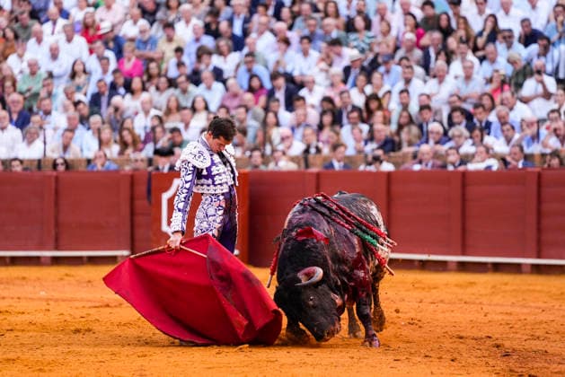 Fourth Regular Bullfight of the San Miguel Fair in Seville: Daniel Luque during the fourth regular bullfight of the San Miguel Fair at the Real Maestranza de Caballería on September 27, 2026, in Seville, Andalusia, Spain. Morante de la Puebla, Daniel Luque, and Borja Jiménez fought bulls from the Garcigrande ranch during the fourth subscription bullfight of the San Miguel Fair, September 27, 2026. Joaquí, Seville, Andalusia, Seville, Andalusia, Spain  Copyright: xJoaquinxCorcherox 7804680