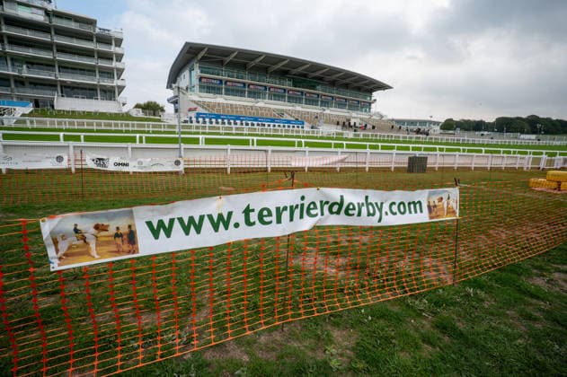 Terrier Derby at Epsom Racecourse in Surrey - 27 Sep 2026 Signs promoting the 2026 Terrier Derby at Epsom Racecourse, Surrey. Terriers competed in the annual Terrier Derby held at Epsom Racecourse, Surrey, an event first held in 2003 as a side attraction to Epsom Trainers Day. More than 70 dogs took part in heats, quarter-finals and semi-finals before the grand finale, chasing a mechanically towed lure along a racetrack. The event was inspired by Jack Russell terrier Smudge and raises money for charity, with spectators also attending a dog show, raffle, trade stalls and other attractions. Epsom United Kingdom Copyright: xJamesxWilloughbyx xSOPAxImagesx JWILLOUGHBY_3526