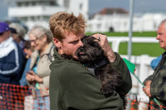 Terrier Derby at Epsom Racecourse in Surrey - 27 Sep 2026 A terrier and its owner seen during the 2026 Terrier Derby held at Epsom Racecourse in Surrey. Terriers competed in the annual Terrier Derby held at Epsom Racecourse, Surrey, an event first held in 2003 as a side attraction to Epsom Trainers Day. More than 70 dogs took part in heats, quarter-finals and semi-finals before the grand finale, chasing a mechanically towed lure along a racetrack. The event was inspired by Jack Russell terrier Smudge and raises money for charity, with spectators also attending a dog show, raffle, trade stalls and other attractions. Epsom United Kingdom Copyright: xJamesxWilloughbyx xSOPAxImagesx JWILLOUGHBY_3533