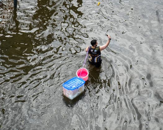Severe floods in Bang Kapi District, Bangkok - 28 Sept 2026 A man dragging a plastic container filled with food behind him while walking through the floodwater and taking a selfie on Lat Phrao Road in Bang Kapi District. On September 26, all 50 districts of Bangkok were declared disaster-affected areas. Three days later, floodwaters still remained in parts of the city. In heavily affected areas such as Bang Kapi District, residents remained in floodwater. Bangkok Thailand Copyright: xNathaliexJamoisx xSOPAxImagesx NathalieJamois_BangKapiFlood2026-13