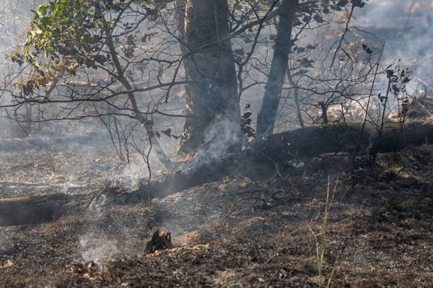 Forest Fire Covers About 12,600 Square Meters; Presence of Ammunition Complicates Firefighting Ef