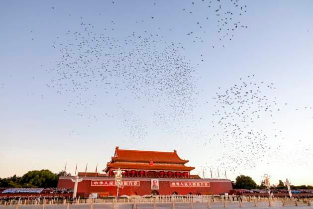 BEIJING, CHINA - OCTOBER 01: Doves are released after a flag-raising ceremony marking the 77th anniversary of the founding of the People s Republic of China at Tian anmen Square on October 1, 2026 in Beijing, China.  Copyright: xVCGx 111670878596