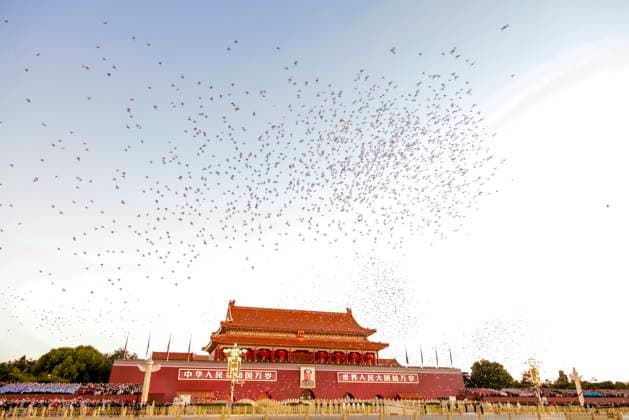 BEIJING, CHINA - OCTOBER 01: Doves are released after a flag-raising ceremony marking the 77th anniversary of the founding of the People s Republic of China at Tian anmen Square on October 1, 2026 in Beijing, China.  Copyright: xVCGx 111670878464