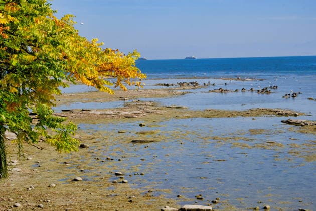 Lake Constance, an autumnal scene with low water levels near Mainau Island