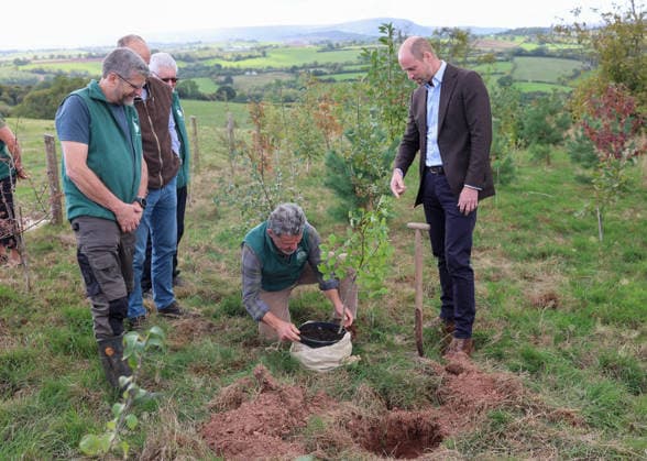 The Prince Of Wales Visits Monmouthshire And Herefordshire ABERGAVENNY, WALES - OCTOBER 01: Prince William, Prince Of Wales (R) joins volunteers participating in a seed collection activity and hears about the progress towards the goal of planting one million trees during his visit to meet representatives from charity Stump Up For Trees, which aims to plant native trees across South Wales, at White Castle Farm on October 01, 2026 in Abergavenny, Wales. The Prince of Wales visited the region to meet with those tackling the threat of flooding caused by extreme weather conditions., Credit:Chris Jackson PA ROTA - B68 Avalon United Kingdom, Wales, Abergavenny  Copyright: xChrisxJacksonx xPAxROTAx-xB68x xAvalonx 1139788292
