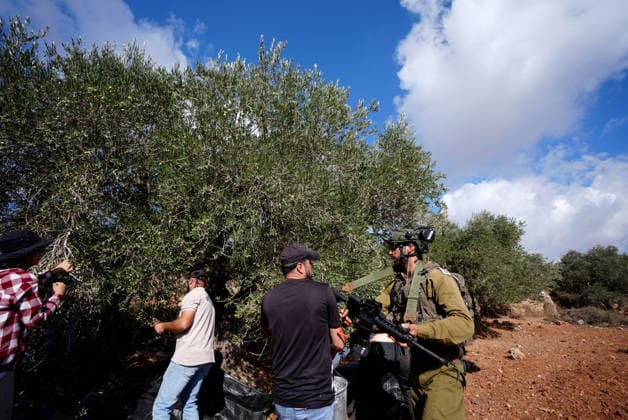 Israeli settlers intervene against Palestinians olive-picking event in Nablus town NABLUS, WEST BANK, PALESTINE - OCTOBER 02: Israeli settlers, under the protection of Israeli forces, intervene against an olive-picking event organized by Palestinians and a group of activists in the town of Beita, in Nablus, West Bank, Palestine on October 02, 2026. Issam Rimawi Anadolu Nablus West Bank. Editorial use only. Please get in touch for any other usage. Copyright: x2026xAnadoluxIssamxRimawix