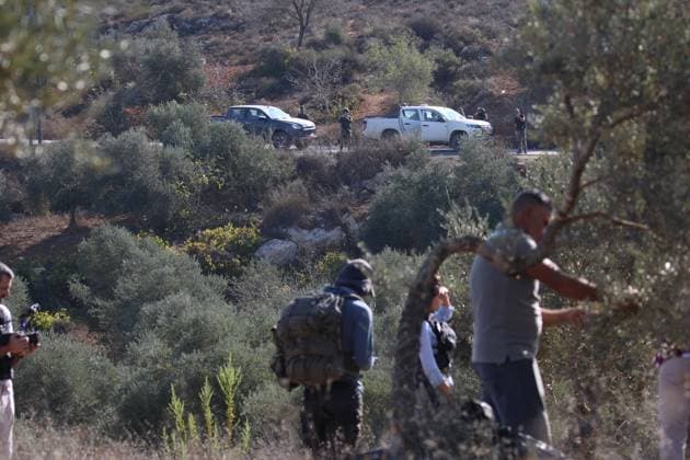 Israeli Settlers And Forces Attacked Palestinian Farmers During Olive Harvest In Beita BEITA, NABLUS, PALESTINE OCTOBER 2, 2026: Israeli settlers and Israeli forces attacked Palestinian farmers while they were picking olives in the Jabal Al-Arma area, east of Beita, south of Nablus. Settlers fired live ammunition toward the farmers, with no injuries reported. According to the Palestinian Red Crescent Society, Israeli forces also beat a 46-year-old Palestinian farmer during raids on olive farms in Beita. Witnesses told Anadolu that Israeli forces fired stun grenades and tear gas at farmers in the Jabal Al-Arma area, forcing them to leave. The olive harvest begins in early October and continues through the end of November, making it an im Copyright: x xSalmanxMohsenxAlkhatibx xJNAxPressx