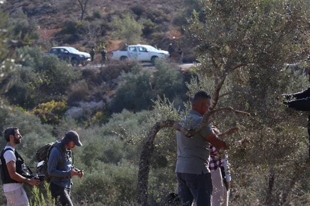 Israeli Settlers And Forces Attacked Palestinian Farmers During Olive Harvest In Beita BEITA, NABLUS, PALESTINE OCTOBER 2, 2026: Israeli settlers and Israeli forces attacked Palestinian farmers while they were picking olives in the Jabal Al-Arma area, east of Beita, south of Nablus. Settlers fired live ammunition toward the farmers, with no injuries reported. According to the Palestinian Red Crescent Society, Israeli forces also beat a 46-year-old Palestinian farmer during raids on olive farms in Beita. Witnesses told Anadolu that Israeli forces fired stun grenades and tear gas at farmers in the Jabal Al-Arma area, forcing them to leave. The olive harvest begins in early October and continues through the end of November, making it an im Copyright: x xSalmanxMohsenxAlkhatibx xJNAxPressx