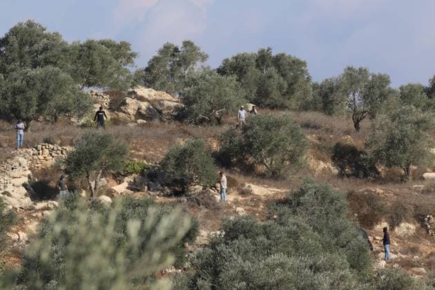 Israeli Settlers And Forces Attacked Palestinian Farmers During Olive Harvest In Beita BEITA, NABLUS, PALESTINE OCTOBER 2, 2026: Israeli settlers and Israeli forces attacked Palestinian farmers while they were picking olives in the Jabal Al-Arma area, east of Beita, south of Nablus. Settlers fired live ammunition toward the farmers, with no injuries reported. According to the Palestinian Red Crescent Society, Israeli forces also beat a 46-year-old Palestinian farmer during raids on olive farms in Beita. Witnesses told Anadolu that Israeli forces fired stun grenades and tear gas at farmers in the Jabal Al-Arma area, forcing them to leave. The olive harvest begins in early October and continues through the end of November, making it an im Copyright: x xSalmanxMohsenxAlkhatibx xJNAxPressx