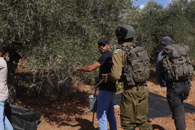 October 2, 2026, Nablus, Palestine, State of: BEITA, NABLUS, PALESTINE Ã¢â‚¬ OCTOBER 2, 2026: Israeli settlers and Israeli forces attacked Palestinian farmers while they were picking olives in the Jabal Al-Arma area, east of Beita, south of Nablus. Settlers fired live ammunition toward the farmers, with no injuries reported. According to the Palestinian Red Crescent Society, Israeli forces also beat a 46-year-old Palestinian farmer during raids on olive farms in Beita. Witnesses told Anadolu that Israeli forces fired stun grenades and tear gas at farmers in the Jabal Al-Arma area, forcing them to leave. The olive harvest begins in early October and continues through the end of November, making it an important agricultural and economic se - ZUMAq101 20261002_zna_q101_101 Copyright: xSalmanxMohsenxAlkhatibx