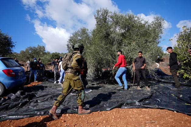 Israeli forces injure Palestinian farmer during raids on olive farms NABLUS, WEST BANK, PALESTINE - OCTOBER 2: Israeli military forces and settlers intervene against Palestinian farmers and international activists harvesting olives in the town of Beita, in Nablus, West Bank, Palestine on October 02, 2026. Israeli settlers beat the 46-year-old Palestinian man in the town of Beita, according to the Palestinian Red Crescent Society. Witnesses told Anadolu that a group of Israeli settlers fired stun grenades and tear gas at farmers in the Jabal al-Arma area, forcing them to leave. Issam Rimawi Anadolu Nablus West Bank. Editorial use only. Please get in touch for any other usage.  Copyright: x2026xAnadoluxIssamxRimawix