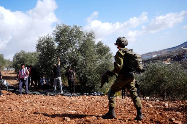 Israeli forces injure Palestinian farmer during raids on olive farms NABLUS, WEST BANK, PALESTINE - OCTOBER 2: Israeli military forces and settlers intervene against Palestinian farmers and international activists harvesting olives in the town of Beita, in Nablus, West Bank, Palestine on October 02, 2026. Israeli settlers beat the 46-year-old Palestinian man in the town of Beita, according to the Palestinian Red Crescent Society. Witnesses told Anadolu that a group of Israeli settlers fired stun grenades and tear gas at farmers in the Jabal al-Arma area, forcing them to leave. Issam Rimawi Anadolu Nablus West Bank. Editorial use only. Please get in touch for any other usage.  Copyright: x2026xAnadoluxIssamxRimawix
