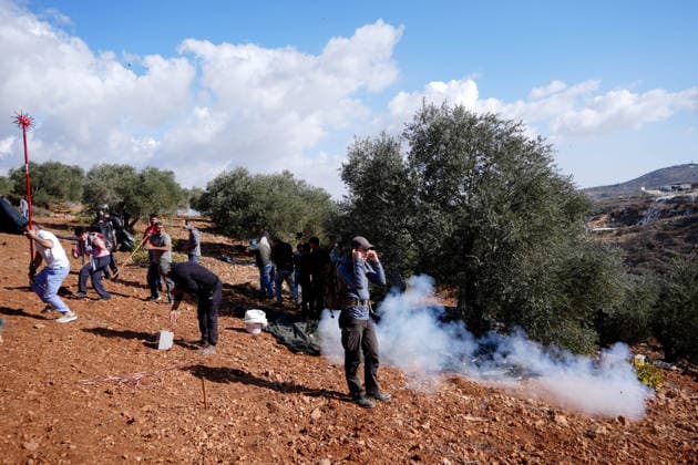 Israeli forces injure Palestinian farmer during raids on olive farms NABLUS, WEST BANK, PALESTINE - OCTOBER 2: Israeli military forces and settlers intervene against Palestinian farmers and international activists harvesting olives in the town of Beita, in Nablus, West Bank, Palestine on October 02, 2026. Israeli settlers beat the 46-year-old Palestinian man in the town of Beita, according to the Palestinian Red Crescent Society. Witnesses told Anadolu that a group of Israeli settlers fired stun grenades and tear gas at farmers in the Jabal al-Arma area, forcing them to leave. Issam Rimawi Anadolu Nablus West Bank. Editorial use only. Please get in touch for any other usage.  Copyright: x2026xAnadoluxIssamxRimawix