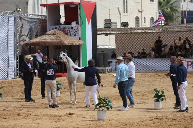 October 2, 2026, Hebron, Palestine, State of: HEBRON, OCCUPIED WEST BANK, OCTOBER 2, 2026: Palestinian riders and horse breeders take part in a three-day Arabian horse beauty show in Hebron, featuring around 300 purebred Arabian horses. Participants from across the West Bank, Jerusalem and Palestinian communities inside Israel gathered for the event, which showcases the characteristics and bloodlines of Arabian horses and promotes horse breeding and equestrian competitions. Organizers and participants hope the event will help develop the Arabian horse show scene in Palestine and create opportunities for riders and breeders to participate in international competitions. Hebron Palestine, State of - ZUMAq101 20261002_zna_q101_184 Copyright: xMosabxShawerx