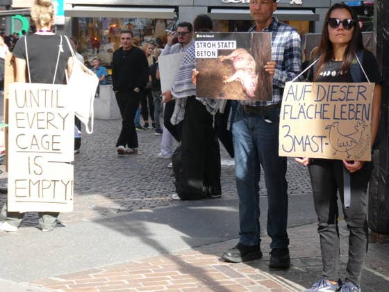 October 3, 2026, Lucerne, Switzerland: Protesters, animals, animal testing; photo of a demonstration and actions against animal testing and for animal welfare