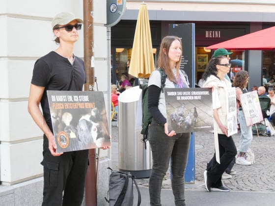 October 3, 2026, Lucerne, Switzerland: Protesters, animals, animal testing; photo: Demonstration and actions against animal testing and for animal welfare