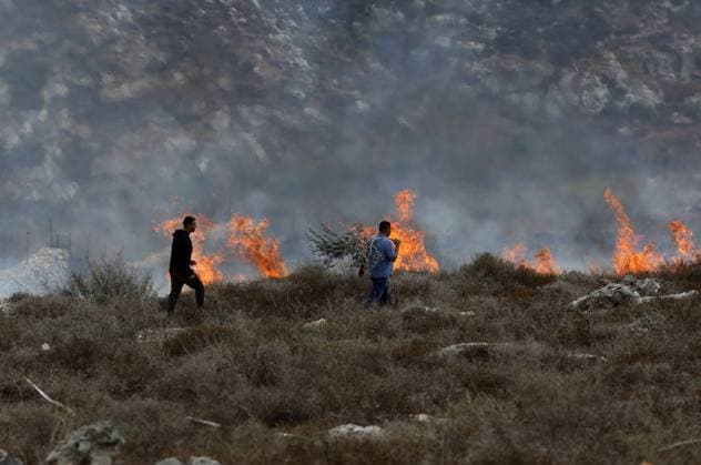 Palestinian Farmers and Civil Defense Extinguish Fire in Asira al-Qibliya ASIRA AL-QIBLIYA, PALESTINE OCTOBER 3, 2026: Palestinian farmers and civil defense personnel extinguished a fire in agricultural fields in Asira al-Qibliya village, south of Nablus, after Israeli army forces fired tear gas in the area. Israeli forces had prevented Palestinians from harvesting olives. Nablus Palestine, State of Copyright: x xNedalxShtiehx xJNAxPressx