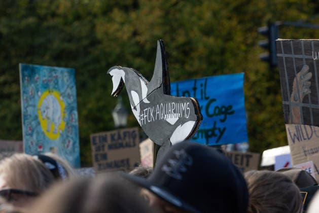 Robert Marc Lehmann at the Anti Zoo demonstration in Berlin, Germany, October 4, 2026 Participants in the F*CK ZOOS demonstration protest against keeping animals in zoos and aquariums with posters and signs they designed themselves. In the foreground is a sign shaped like a whale with the words FCK AQUARIUMS. Berlin, Germany, Berlin