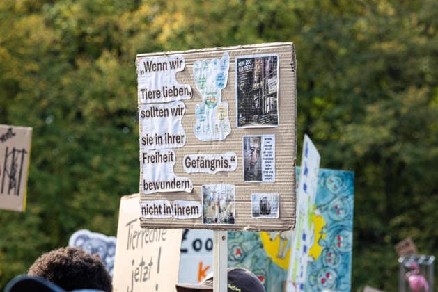 Robert Marc Lehmann Anti-Zoo Demonstration in Berlin, Berlin, Germany, October 4, 2026 A participant in the F*CK ZOOS demonstration holds up a homemade poster with the message: If we love animals, we should admire them in their freedom, not in their prison. The demonstration is taking place at the Brandenburg Gate