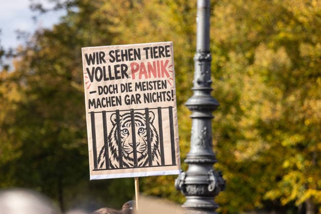 Robert Marc Lehmann at the Anti Zoo demonstration in Berlin, Germany, October 4, 2026 A participant in the F*CK ZOOS demonstration holds a protest sign reading We see animals in a state of panic, yet most people do nothing and featuring an image of a tiger behind bars. The rally is taking place at the Brandenburg Gate in Berlin, Germany. Berlin
