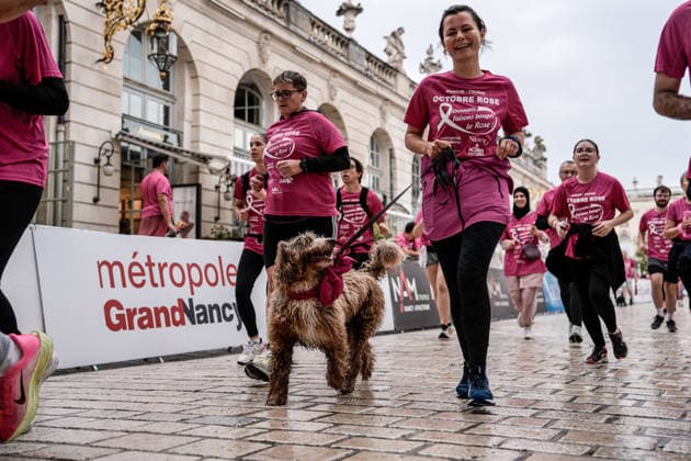 Thousands in pink join Octobre Rose 5K in Nancy NANCY, FRANCE - OCTOBER 04: Participants dressed in pink take part in the Octobre Rose 5K March &amp; Run held as part of breast cancer awareness activities in Nancy, France, on October 04, 2026. Thousands of participants gather at the Palais du Gouvernement before the 5-kilometre march and run through the city, creating striking scenes as they take part in the event dressed in pink. Muhammed Said Tako Anadolu Nancy France. Editorial use only. Please get in touch for any other usage.  Copyright: x2026xAnadoluxMuhammedxSaidxTakox