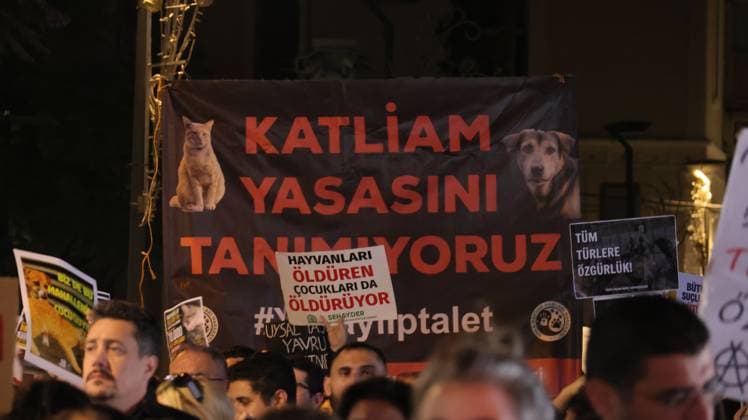 Animal Rights Activists Formed Human Chain In Izmir Against Euthanasia Law IZMIR, TURKEY OCTOBER 4, 2026: Animal rights activists staged a protest in Izmir on World Animal Protection Day, opposing the decision to round up and euthanize stray animals. Members of the Izmir Right to Life Advocates gathered in front of Alsancak Train Station in the Konak district and protested against the Law Amending the Animal Protection Act, which was passed by the Grand National Assembly of Turkey on July 30, 2024, published in the Official Gazette on August 2, 2024, and entered into force. Activists marched from Alsancak Station along Cyprus Martyrs Street before gathering in front of the Türkan Saylan Cultural Center. Chanting slogans including No Copyright: x xTurgayxKilicx xJNAxPressx