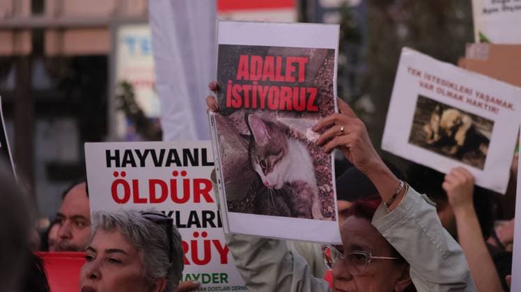 October 4, 2026, Izmir, To¼rkiye: IZMIR, TURKEY †OCTOBER 4, 2026: Animal rights activists staged a protest in Izmir on World Animal Protection Day, opposing the decision to round up and euthanize stray animals. Members of the Izmir Right to Life Advocates gathered in front of Alsancak Train Station in the Konak district and protested against the Law Amending the Animal Protection Act, which was passed by the Grand National Assembly of Turkey on July 30, 2024, published in the Official Gazette on August 2, 2024, and entered into force. Activists marched from Alsancak Station along Cyprus Martyrs Street before gathering in front of the To¼rkan Saylan Cultural Center. Chanting slogans including â€oeNo to your laws, let the anima - ZUMAq101 20261004_zna_q101_113 Copyright: xTurgayxKilicx