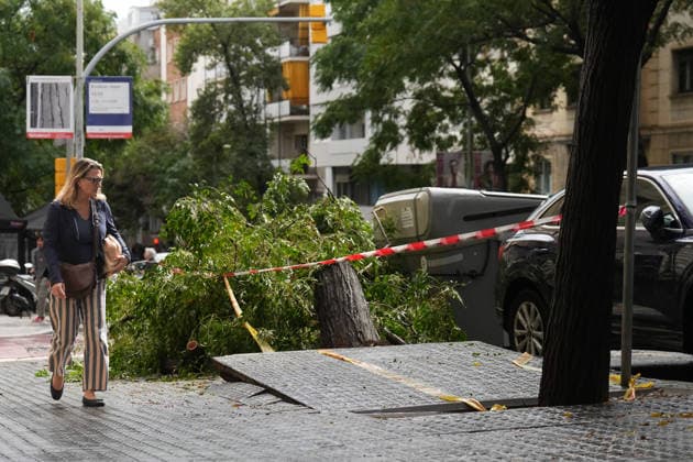 Heavy rains in Catalonia cause widespread disruption. A tree fell due to the rain on Mandri Street on October 5, 2026, in Barcelona, Catalonia, Spain. Rain and storms will once again dominate the day on Monday, though with less intensity than over the weekend, with yellow and orange alerts in effect at times in some areas of the country, and even a red alert remaining in effect until 10 a.m. in Barcelona, with cumulative rainfall of 90 l m². October 5, 2026, Barcelona, Catalonia, Spain  Copyright: xDavidxZorrakinox 7822701