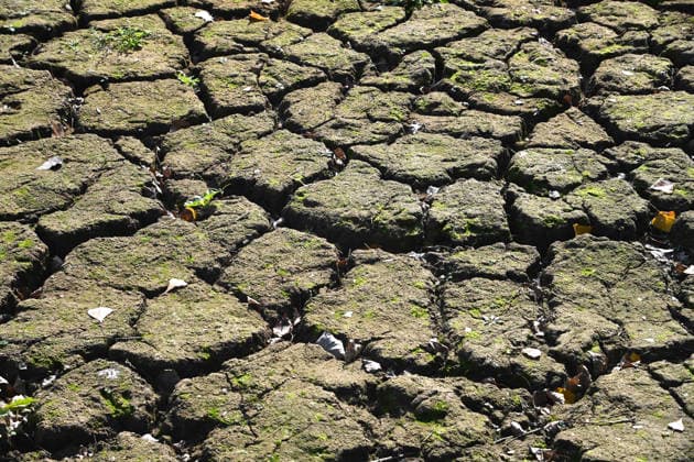 Low water levels in the Port of Düsseldorf have exposed a large sandbar; rocks and sand line the shore; Harbor Basin A; motorboats and yachts lie on the bottom; Düsseldorf, October 5, 2026,