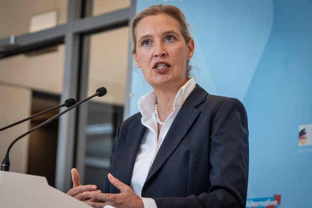 Alice Weidel, AfD Party and Parliamentary Group Chair Press statement by the two party chairs and parliamentary group chairs of the AfD before the start of the parliamentary group meeting in the German Bundestag, Berlin, Berlin, Germany, Bundestag