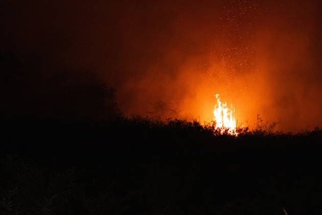 October 6, 2026, Jambi, Indonesia: JAMBI, INDONESIA, OCTOBER 6, 2026: Firefighters battle a land fire burning through trees and vegetation in the Penyengat Rendah area of Jambi City, as local residents observe the blaze. Forest and land fires across parts of Jambi and Sumatra continue to affect air quality and raise environmental concerns during the dry season. Jambi Indonesia - ZUMAq101 20261006_zna_q101_114 Copyright: xPrabanndaruxWahyuajix